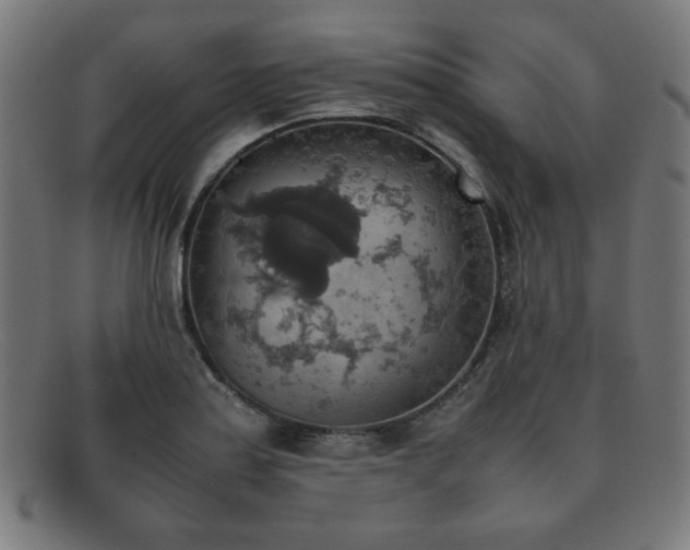 X0000092051179200709121206