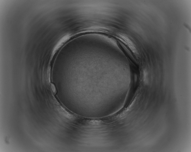 X0000092051180200709121206