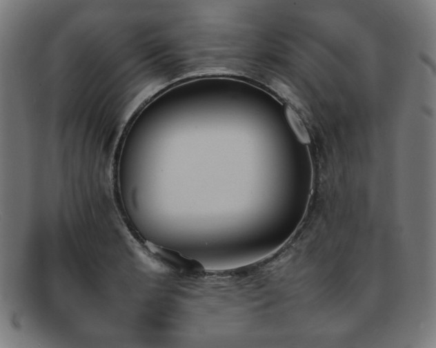 X0000092051181200709121206