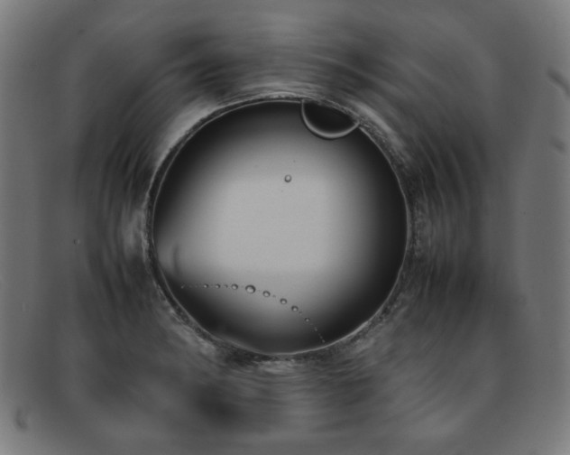 X0000092051182200709121206