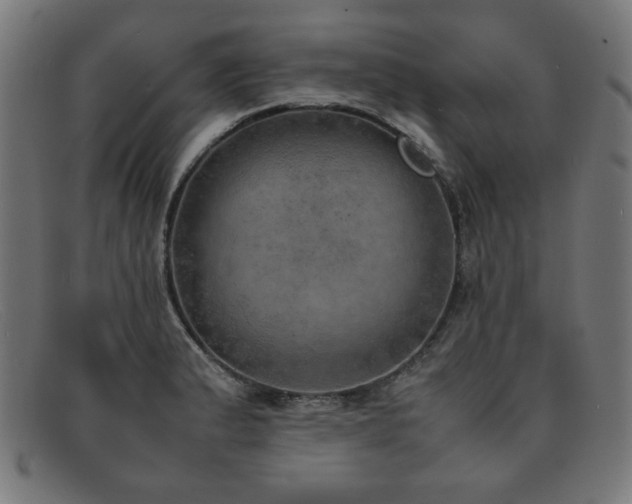 X0000092051183200709121206