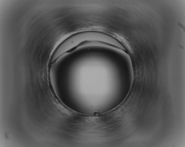 X0000092051184200709121206