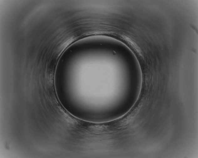 X0000092051185200709121206