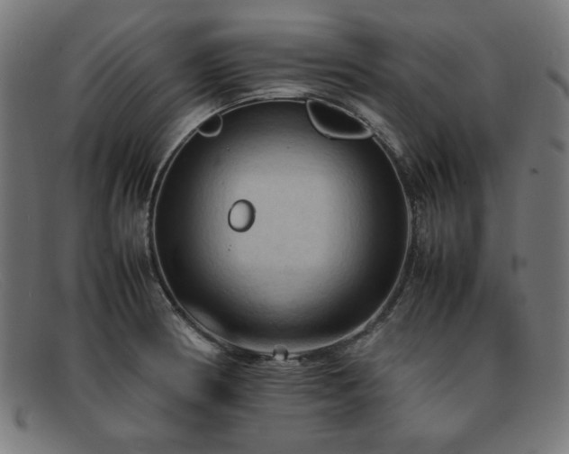 X0000092051186200709121206