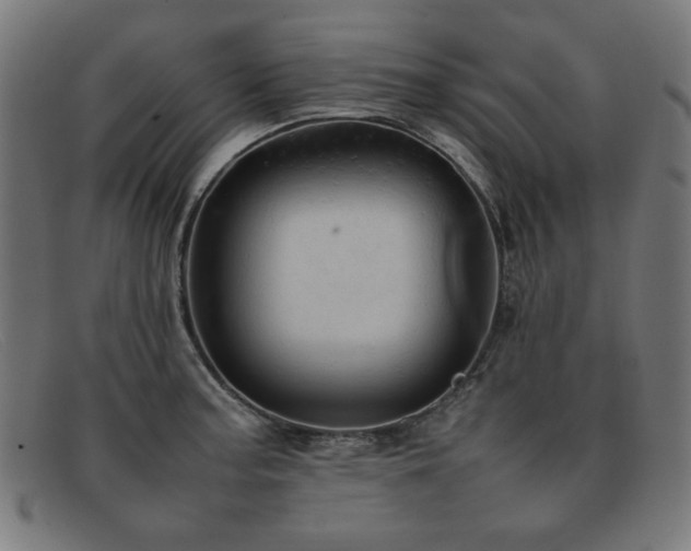 X0000092051187200709121206