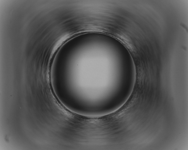 X0000092051188200709121206