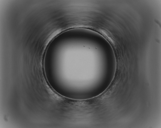 X0000092051189200709121206