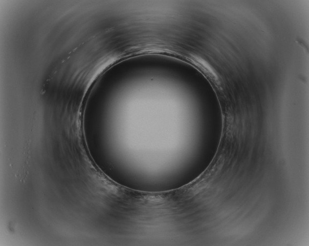 X0000092051190200709121206