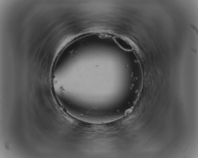 X0000092051191200709121206