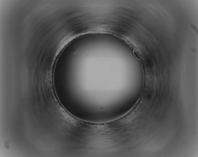 X0000092051192200709121206