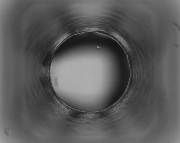 X0000092051193200709121206