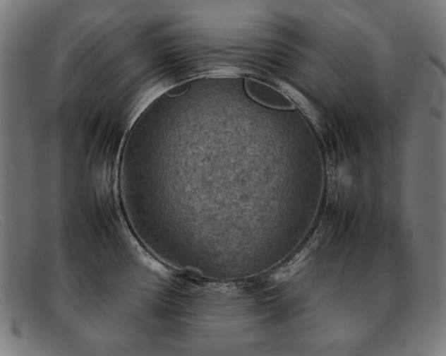 X0000092051194200709121206