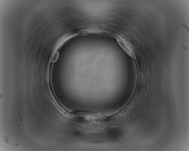 X0000092051195200709121206