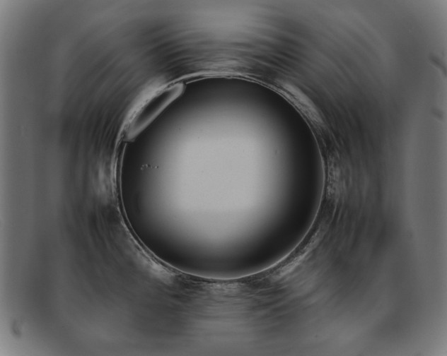 X0000092051196200709121206