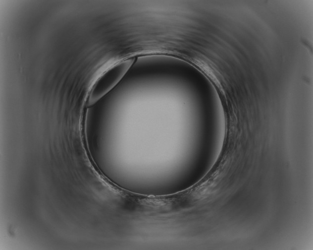 X0000092051197200709121206