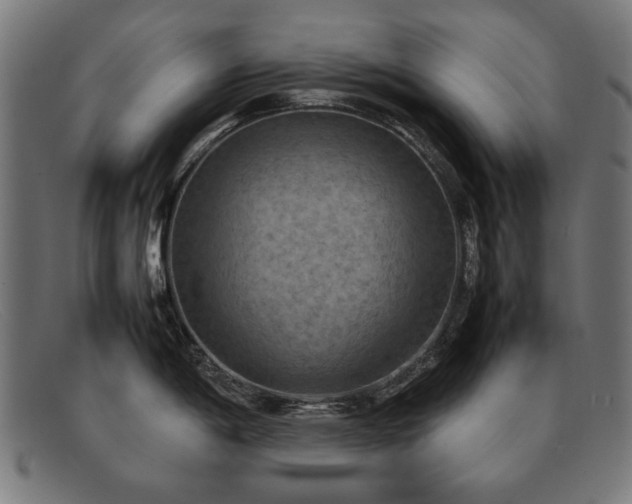 X0000092051198200709121206