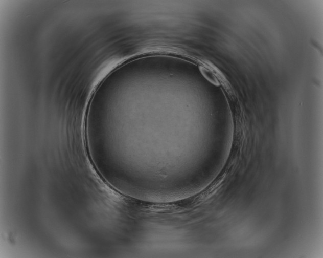 X0000092051199200709121206