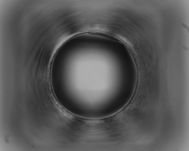 X0000092051200200709121206