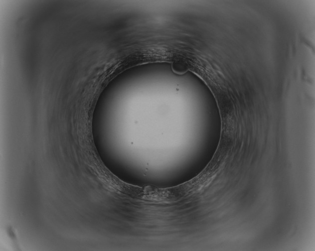 X0000092051201200709121205