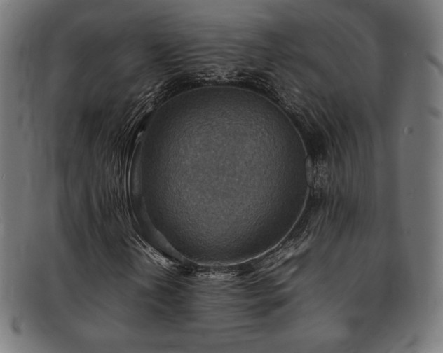 X0000092051202200709121205