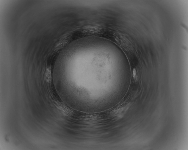 X0000092051203200709121205