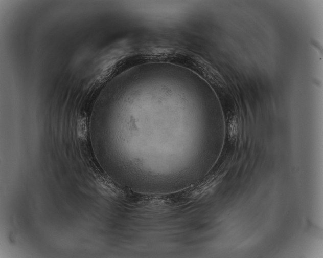 X0000092051204200709121205