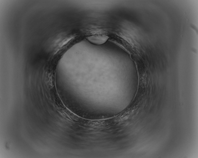 X0000092051205200709121205