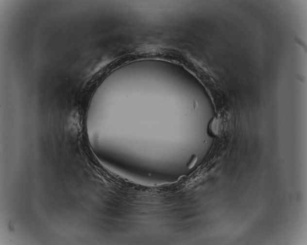 X0000092051206200709121205