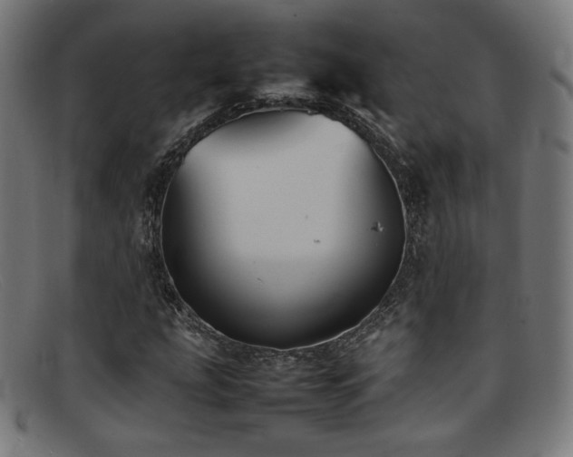 X0000092051207200709121205