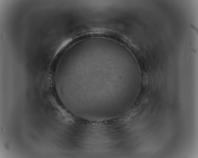 X0000092051208200709121205