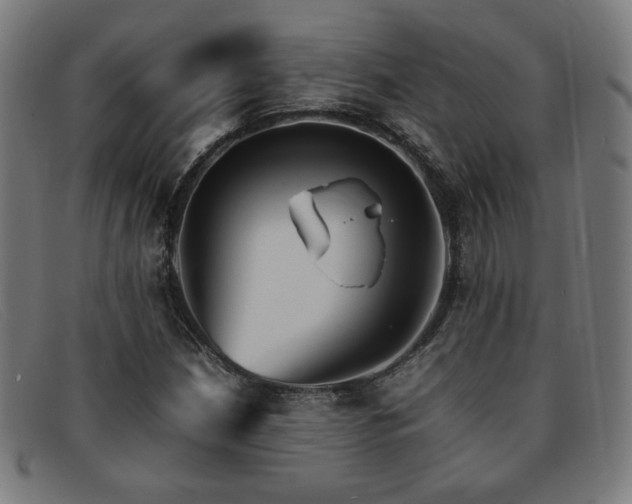 X0000092051210200709121205