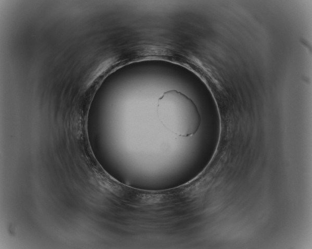 X0000092051211200709121205