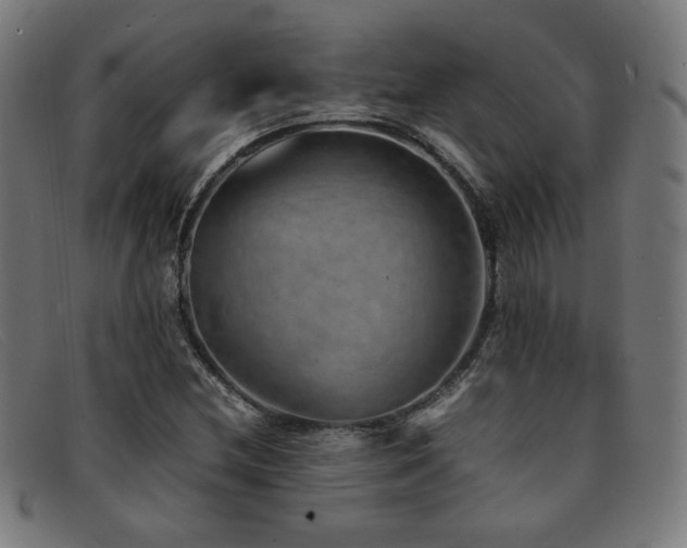 X0000092051212200709121205