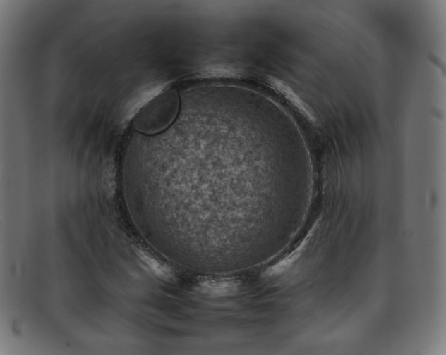 X0000092051213200709121205