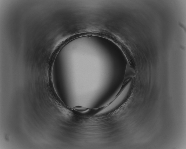 X0000092051214200709121205