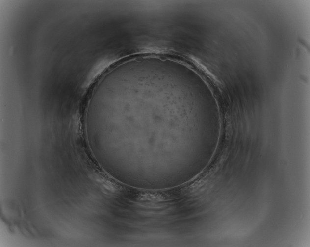 X0000092051215200709121206