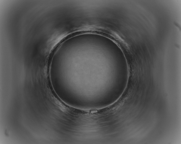 X0000092051216200709121206