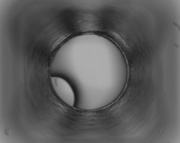 X0000092051217200709121206