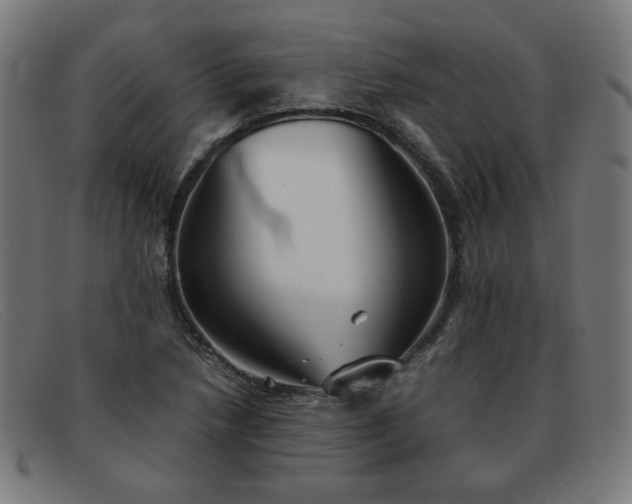 X0000092051218200709121206