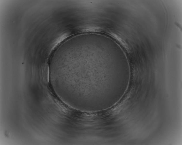 X0000092051219200709121206