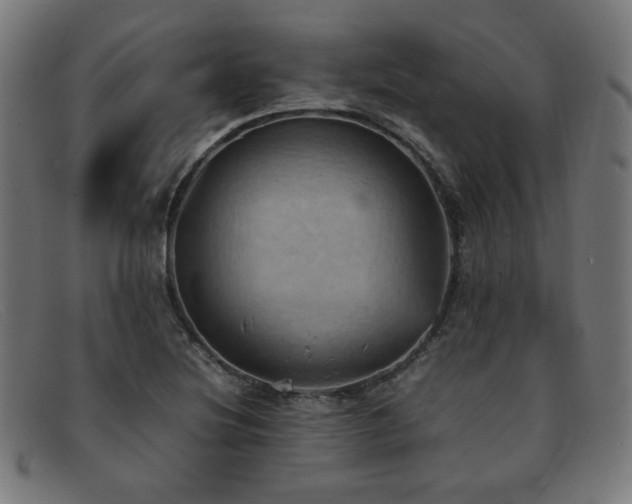 X0000092051220200709121206