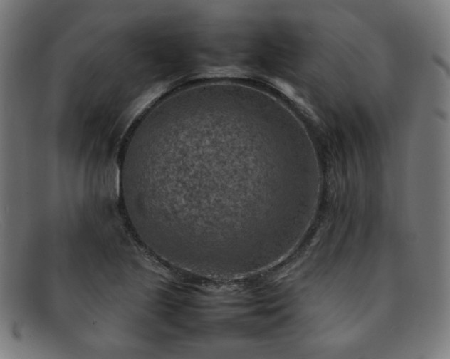 X0000092051221200709121206