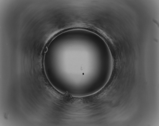 X0000092051222200709121206