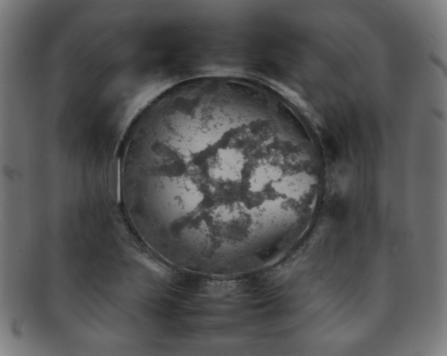 X0000092051223200709121206