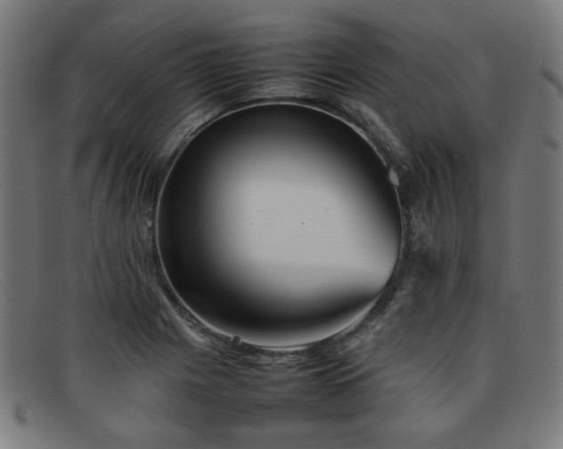 X0000092051225200709121206