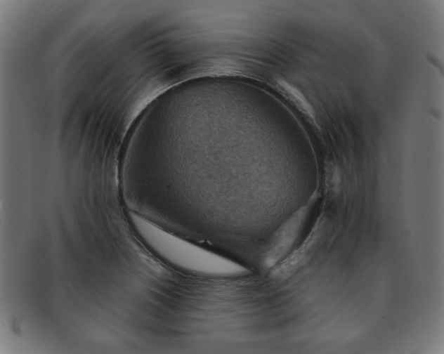 X0000092051226200709121206