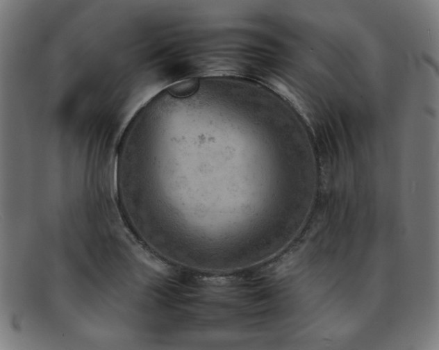 X0000092051227200709121206