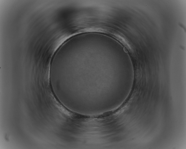 X0000092051228200709121206