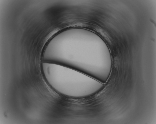 X0000092051229200709121206