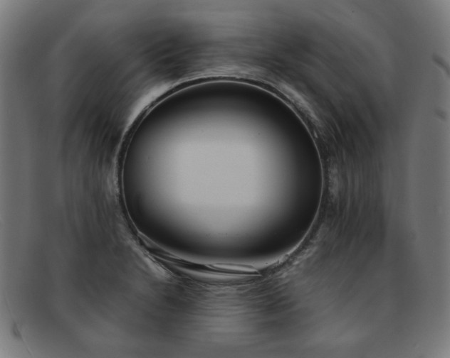 X0000092051230200709121206